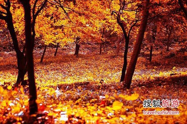 到南京栖霞山游玩攻略,到南京栖霞山游玩攻略路线