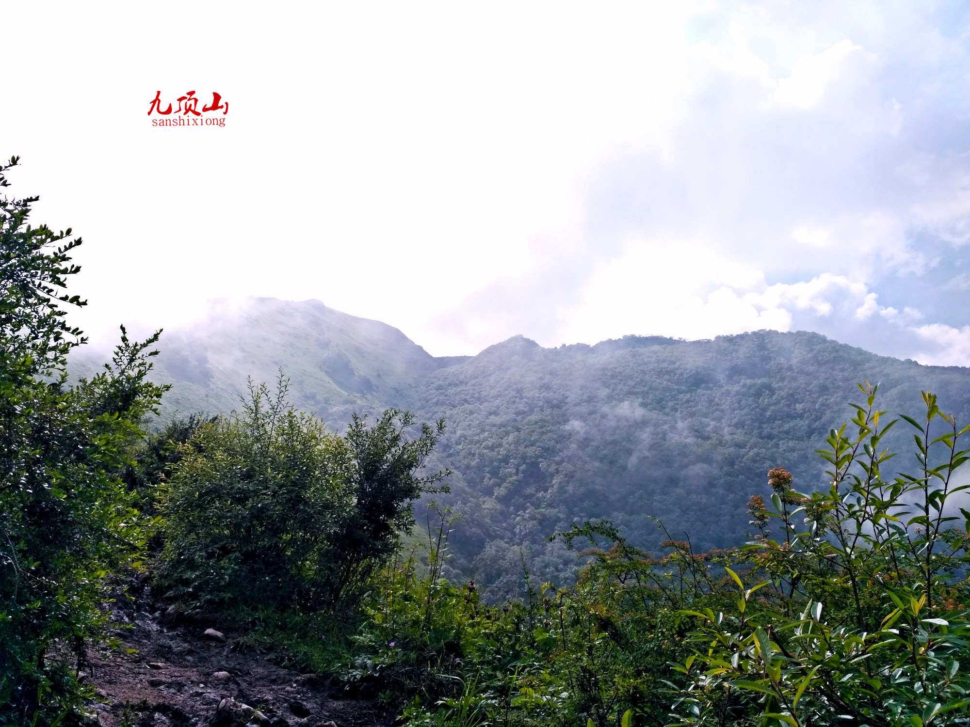 wKgBZ1lwTC-AQtLXAEKNnW0XV4g552.png?imageView2%2F2%2Fw%2F600%2Fh%2F600%2Fq%2F90