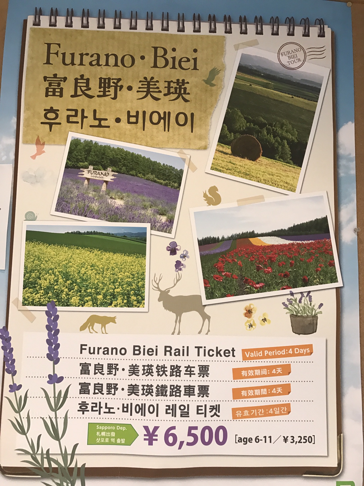 初恋人口_初恋发型(3)