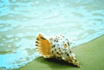 海南错峰出游 最实惠 三亚-琼海-万宁-三亚 3天2晚游