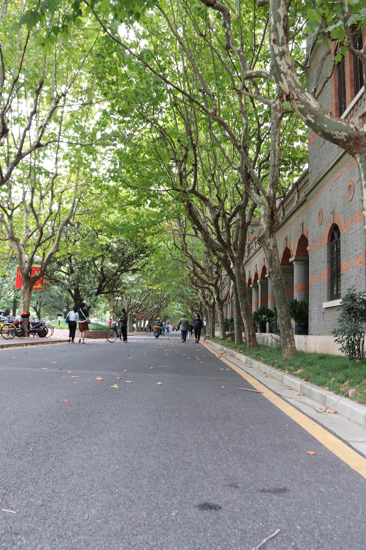 上海交通大学徐汇校区一道靓丽的风景线