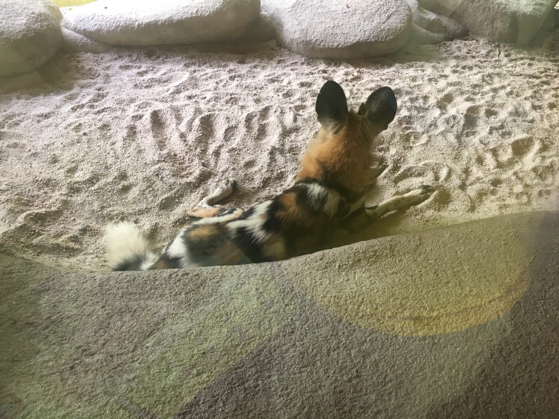 wKgBZ1kcOMeAYtDcAA-l6AiWQDU60.jpeg?imageView2%2F2%2Fw%2F600%2Fh%2F600%2Fq%2F90