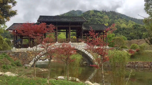 铜鼓汤里森林温泉旅游度假区门票