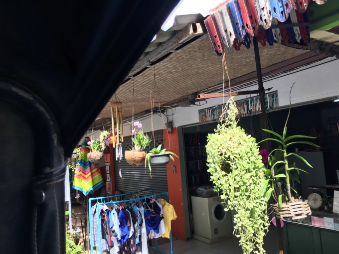 沿街的小店上的有意,富有情趣.椰子壳装的花盆别装饰趣.(*ˉ)ˉ*)情趣v情趣球图片