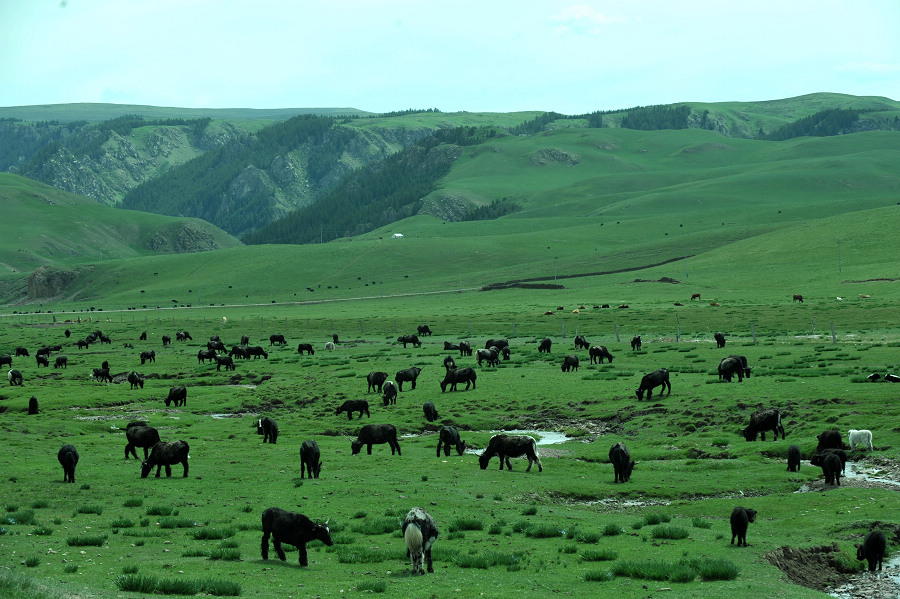 wKgBZ1jXNwKAINURAANZqC3jauY72.jpeg?imageView2%2F2%2Fw%2F600%2Fq%2F100