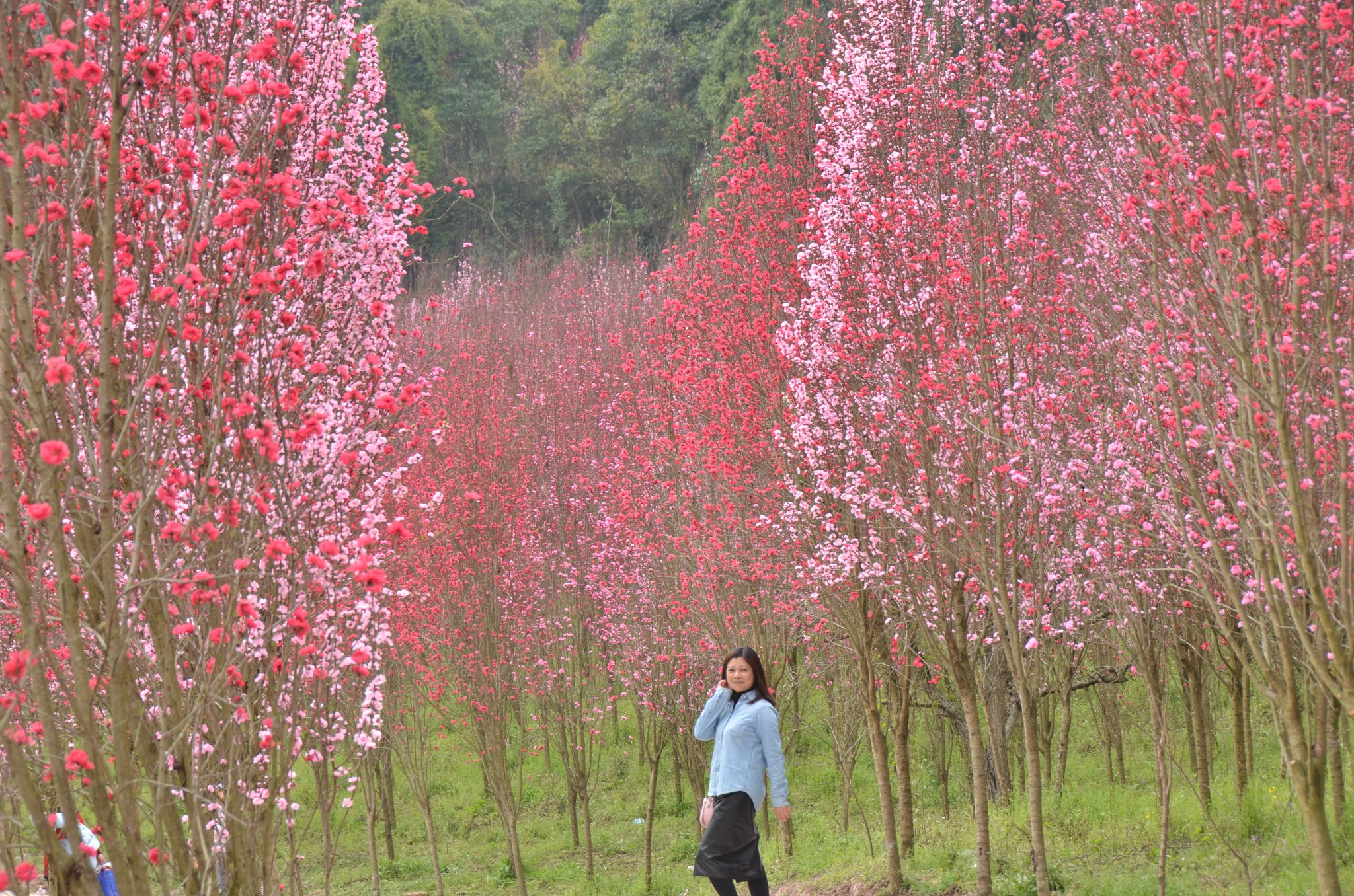 wKgBZ1jQrB-AVGEeABMFhazKjz884.jpeg?imageView2%2F2%2Fw%2F600%2Fq%2F50%7Cimageslim