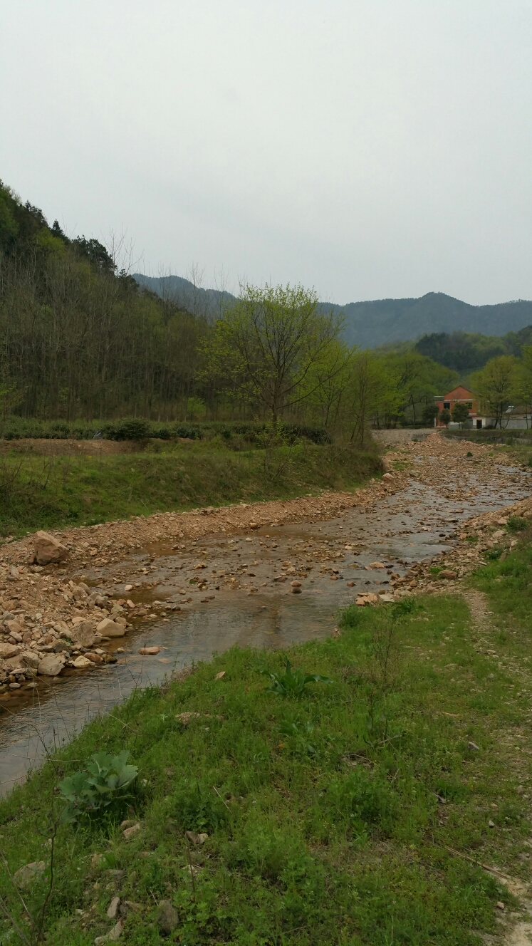 藏在深山人未识虎洞湖景好风光漫步十里长冲道清明时节在庐江