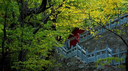 宿州皇藏峪国家森林公园门票