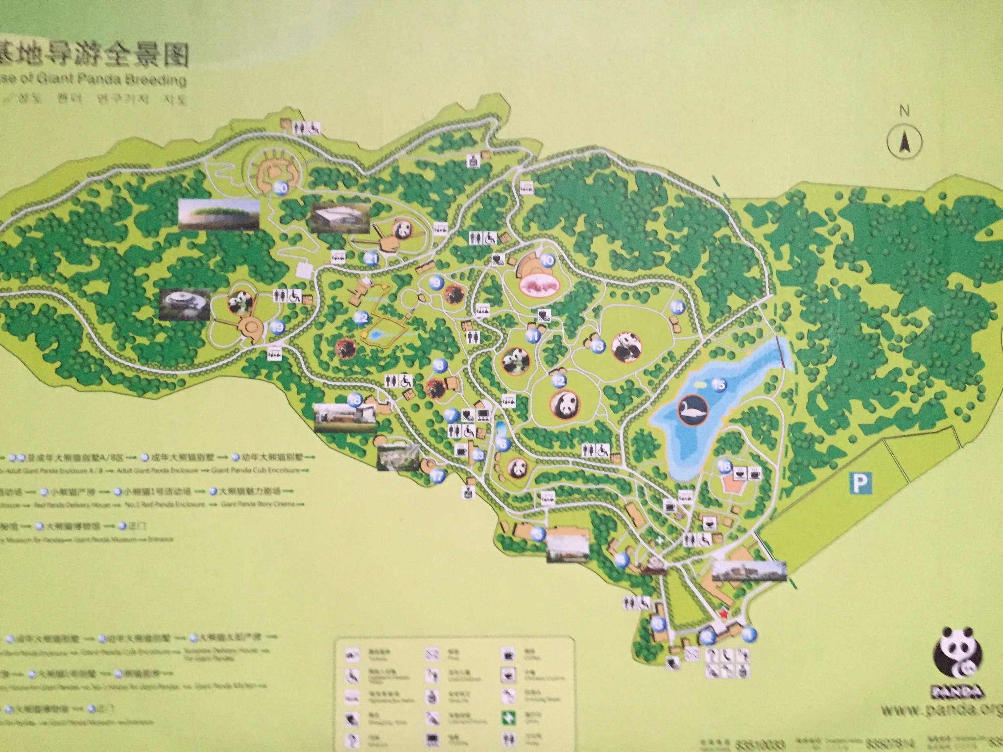 首页 四川旅游攻略  游客若步行游览基地,整个行程需要3个小时;乘坐