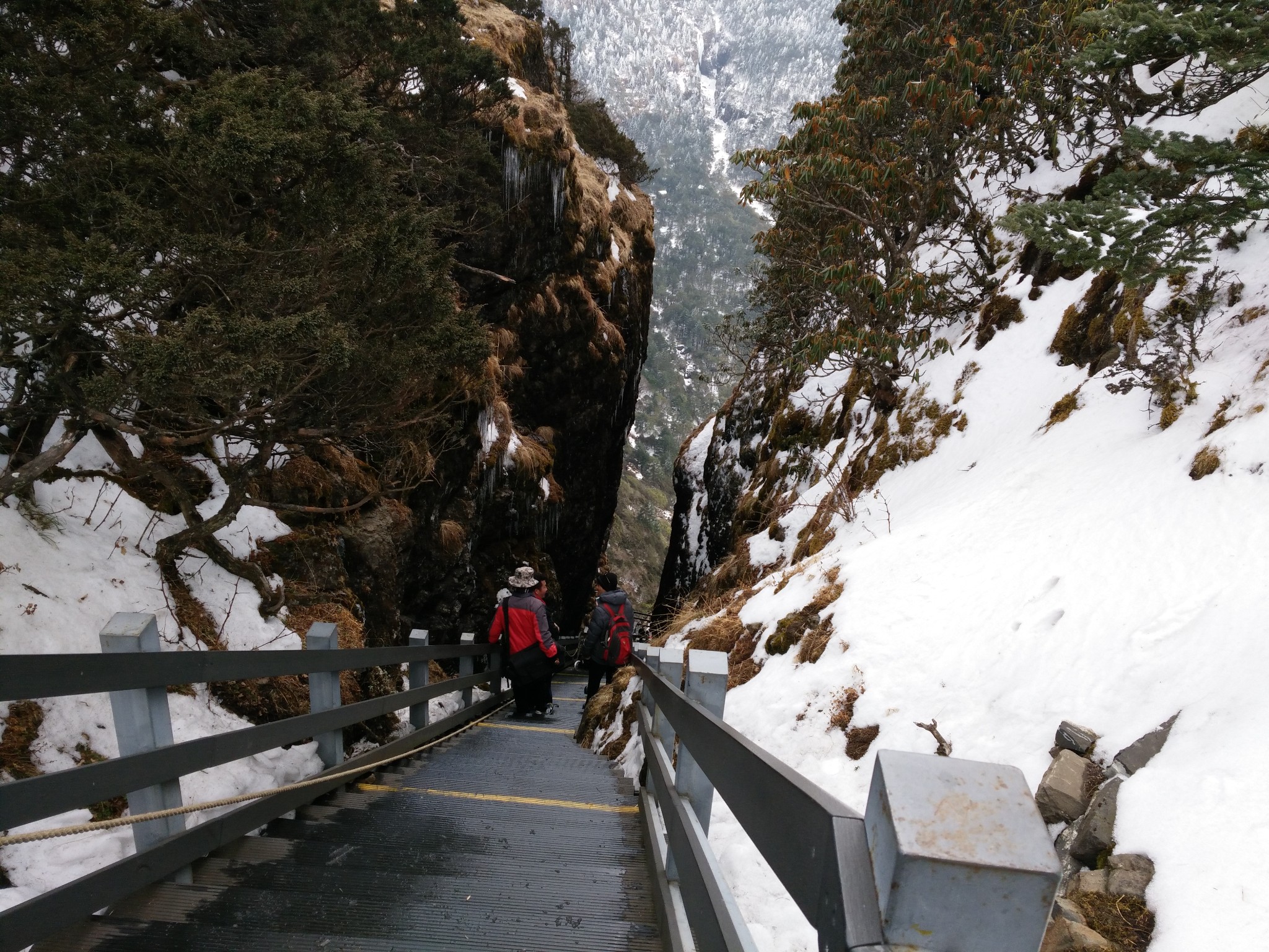 昆明轿子雪山