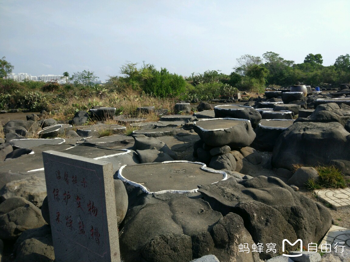 海口怎么搭渡轮回湛江_湛江西到海口火车硬卧