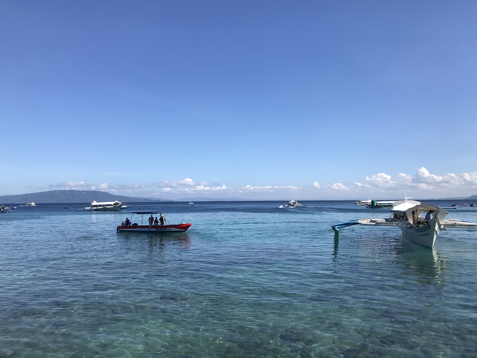 菲律宾匆匆略过～马尼拉～海豚湾,菲律宾旅游攻略