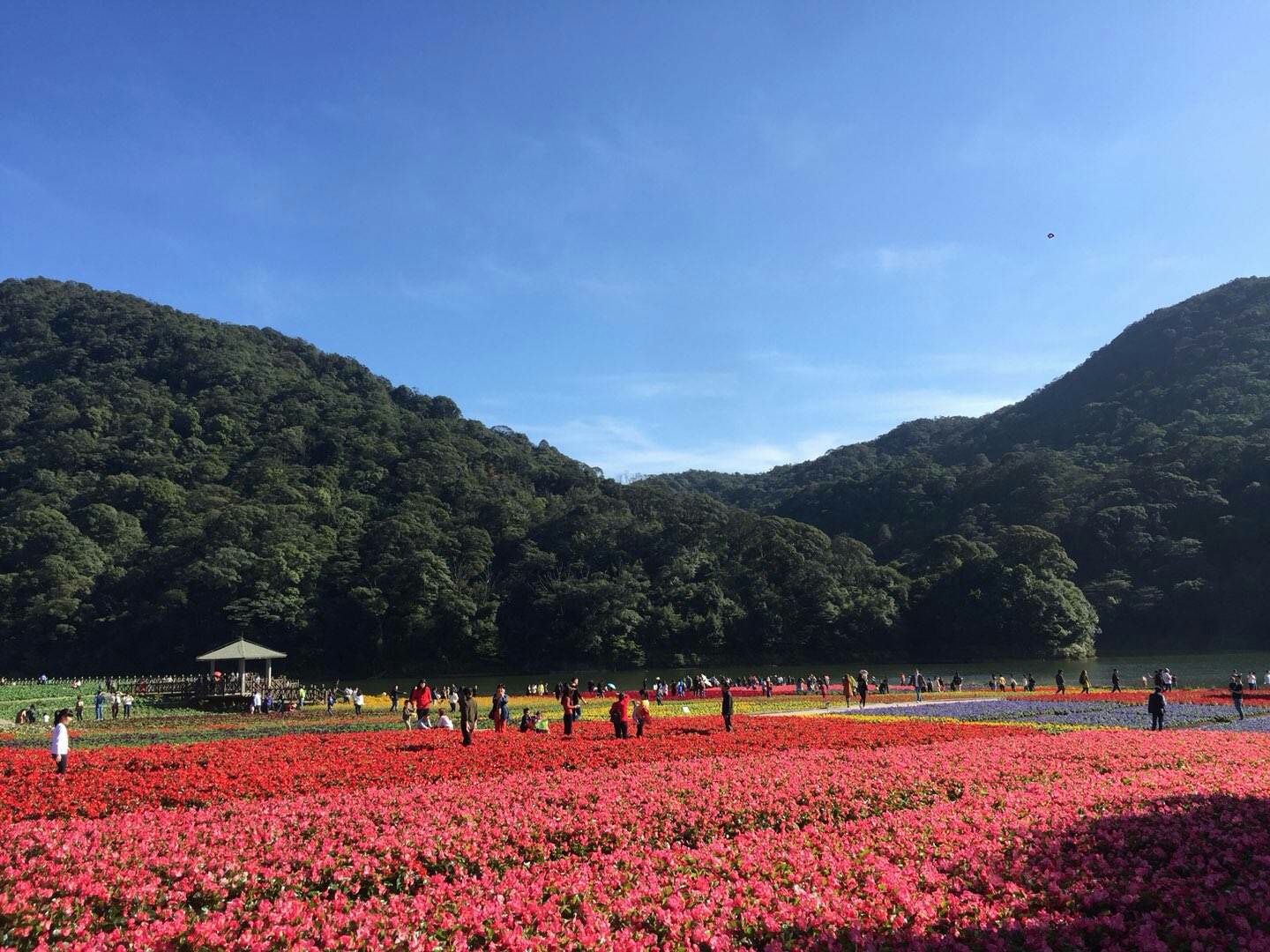 广州从化,石门国家森林公园,跟团1日游