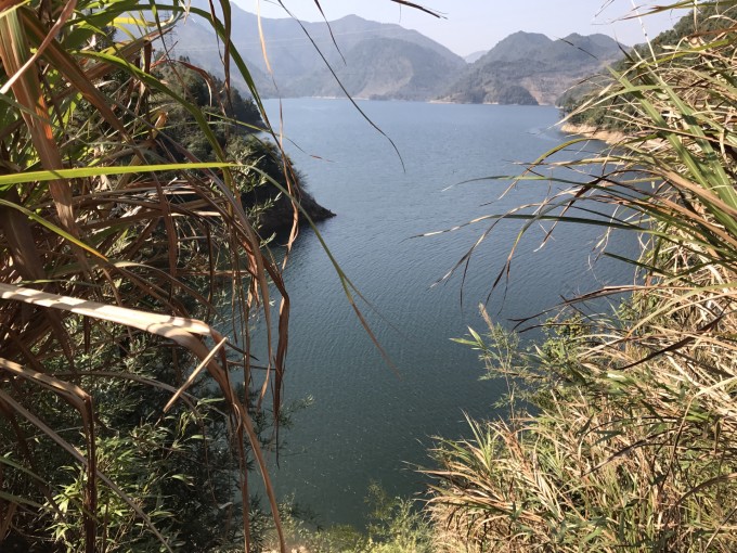 智力的v智力-广东省韶关国家森林公园,南岭自助游古墓攻略8游戏攻略身心逃出图片