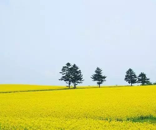 泷川市人口_泷川雅美