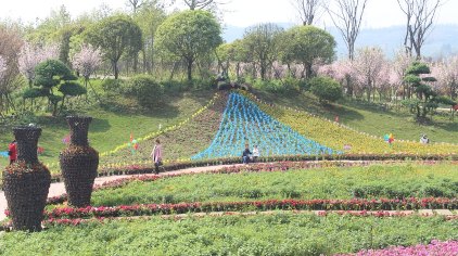 崇州龙腾居家庭农场门票