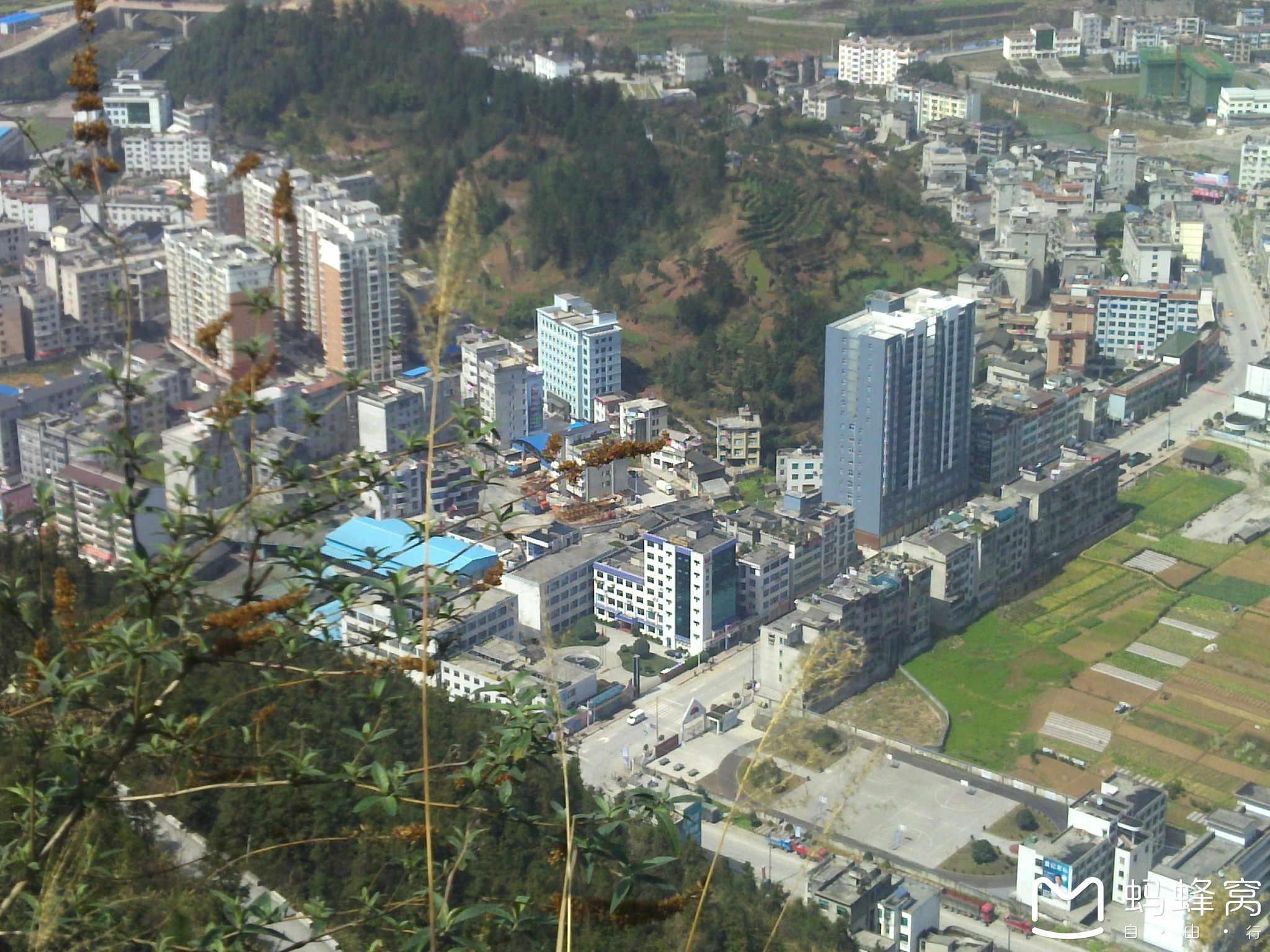 鹤峰地区人口_鹤峰野菜(2)