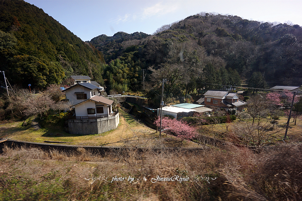 下田市          