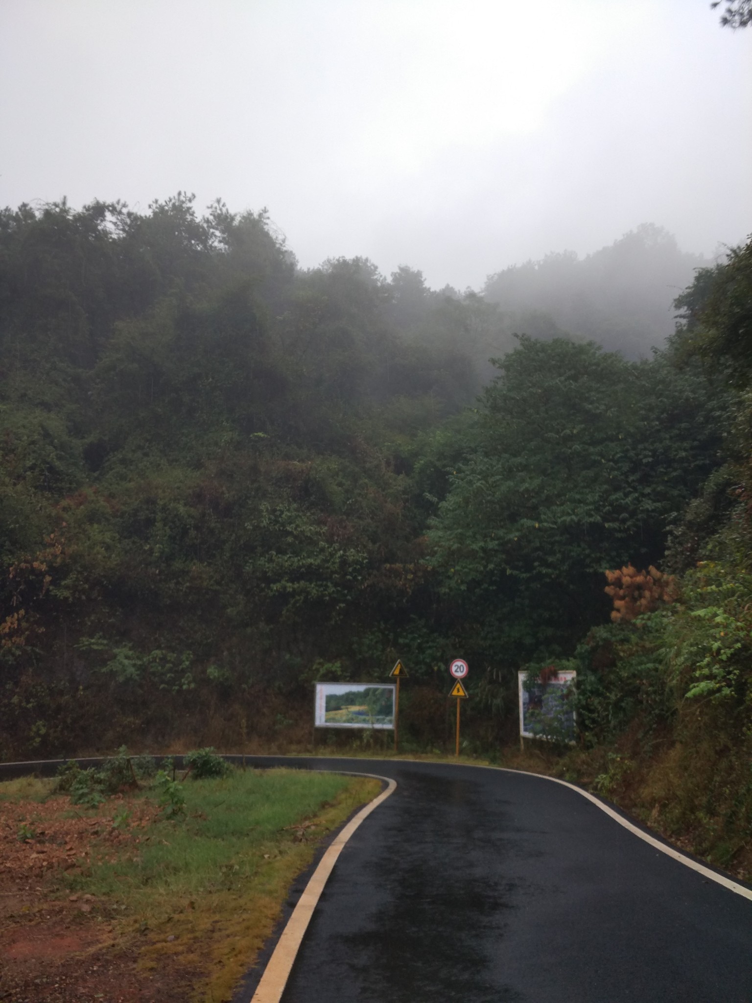 武汉江夏——青龙山花山徒步