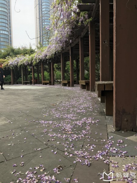 杨巷游玩攻略,杨巷游玩攻略一日游