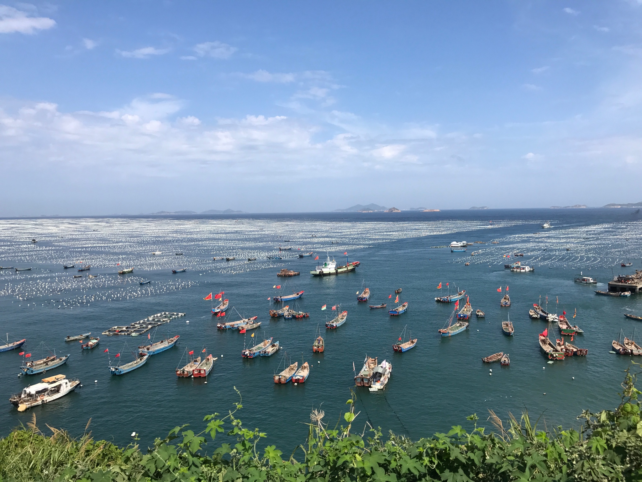 枸杞岛——舟山的一个小渔村,嵊泗旅游攻略 - 马蜂窝