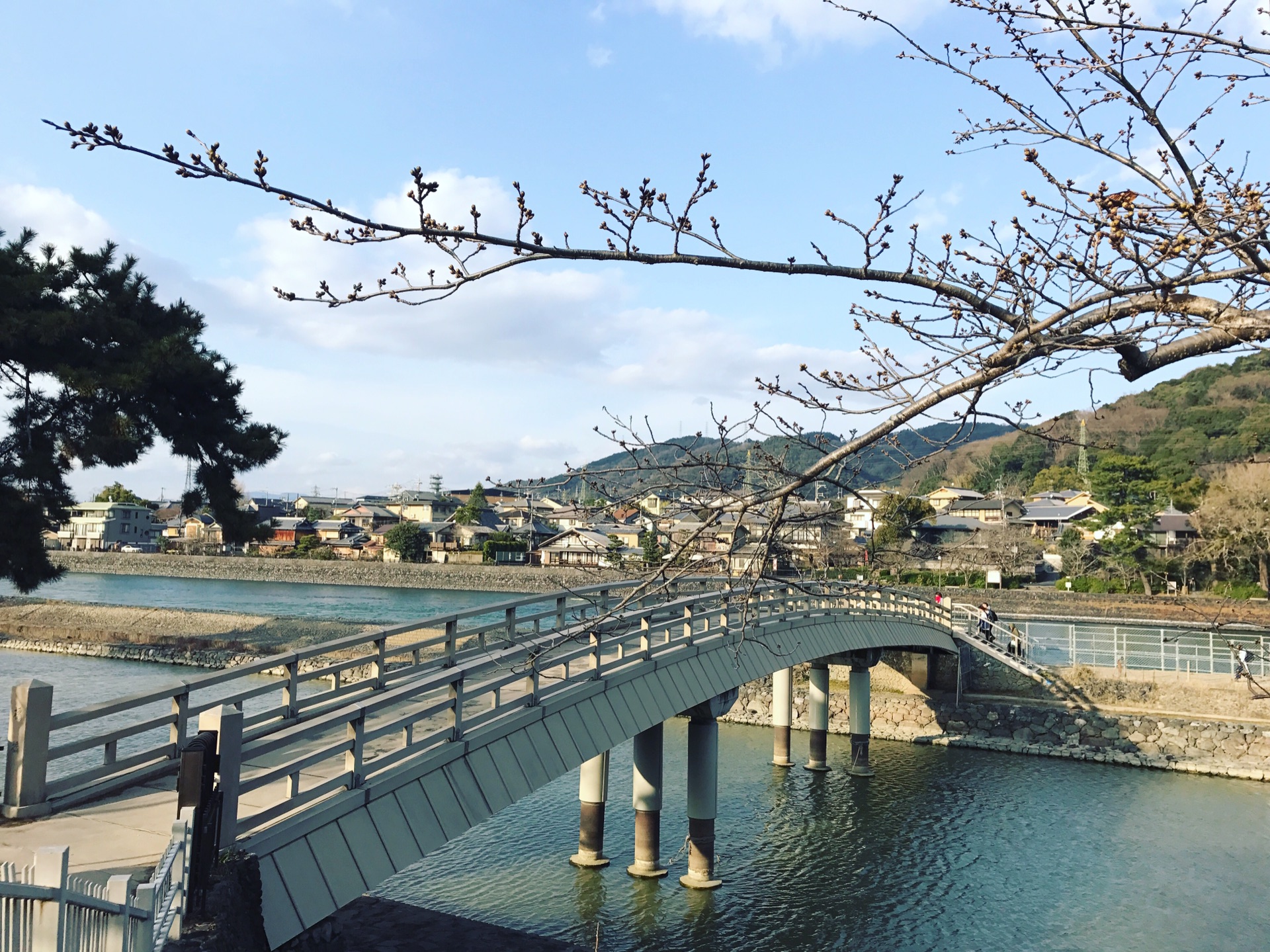 宇治川          