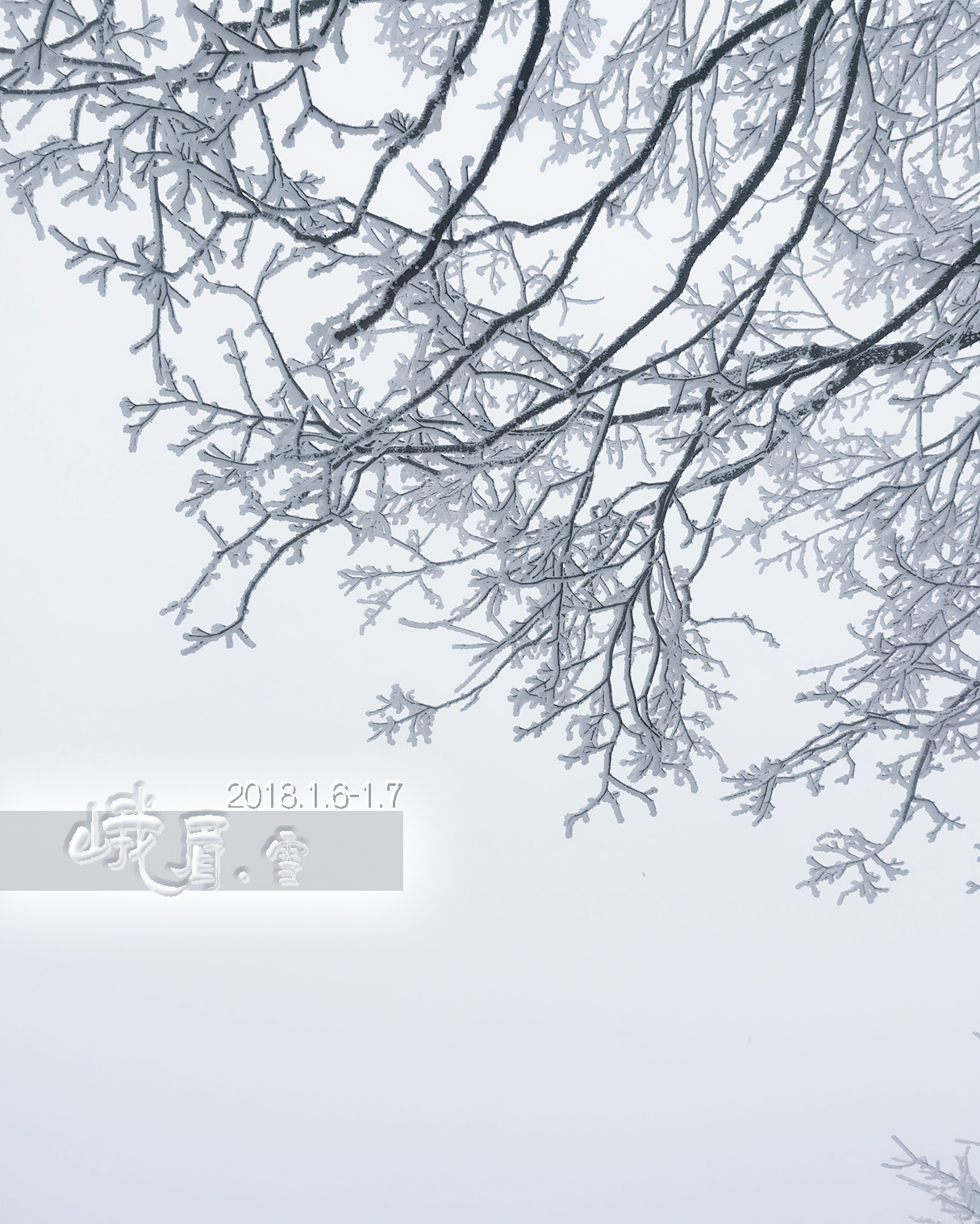 雪_游记