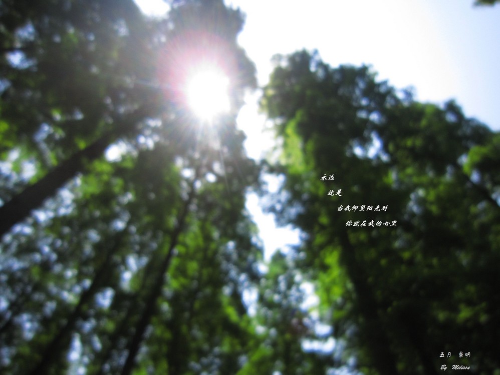 wKgBpU41BHa6r0tyAAGyq8PEW_E37.jpeg?imageView2%2F2%2Fw%2F600%2Fh%2F600%2Fq%2F90