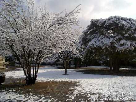 wKgBt099jQf47rJtAABnpzZFRoY23.jpeg?imageView2%2F2%2Fw%2F600%2Fh%2F600%2Fq%2F90
