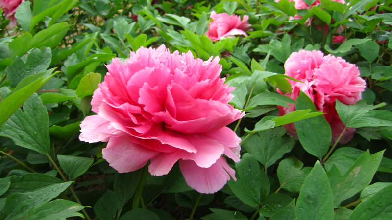 wKgBt0-Dx2-c9UH6AAHBeJyIplY80.jpeg?imageView2%2F2%2Fw%2F600%2Fq%2F50