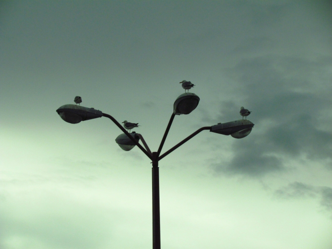 19世纪中期美国经济_十九世纪中期以来美国迅速崛起,对世界发展和国际关系演变都产生了...(3)