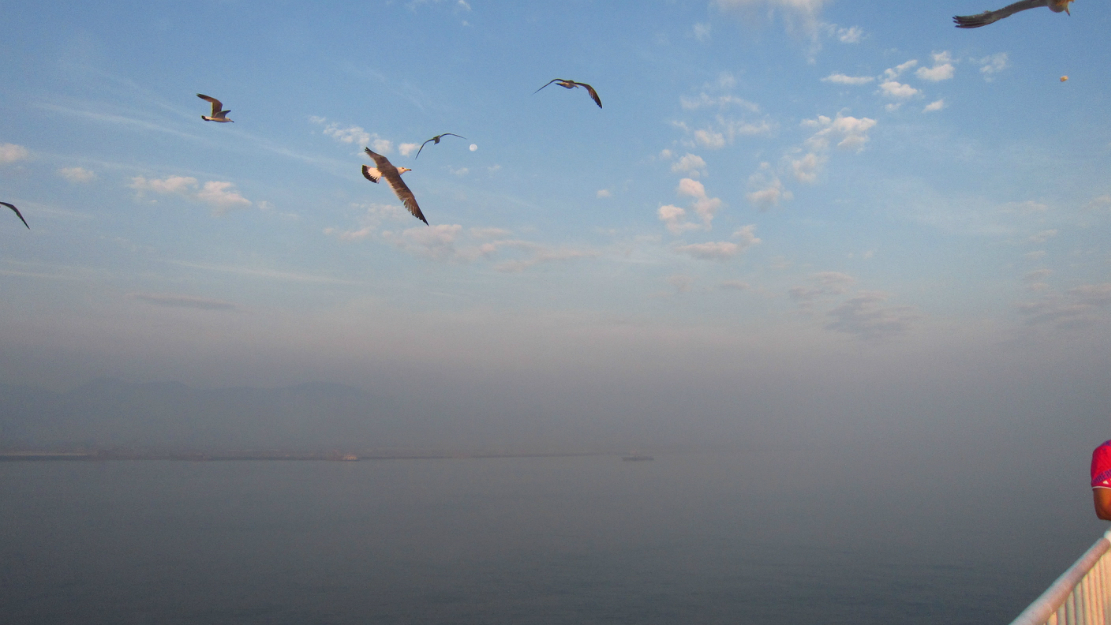 彩云伴海鸥简谱_彩云伴海鸥图片(3)