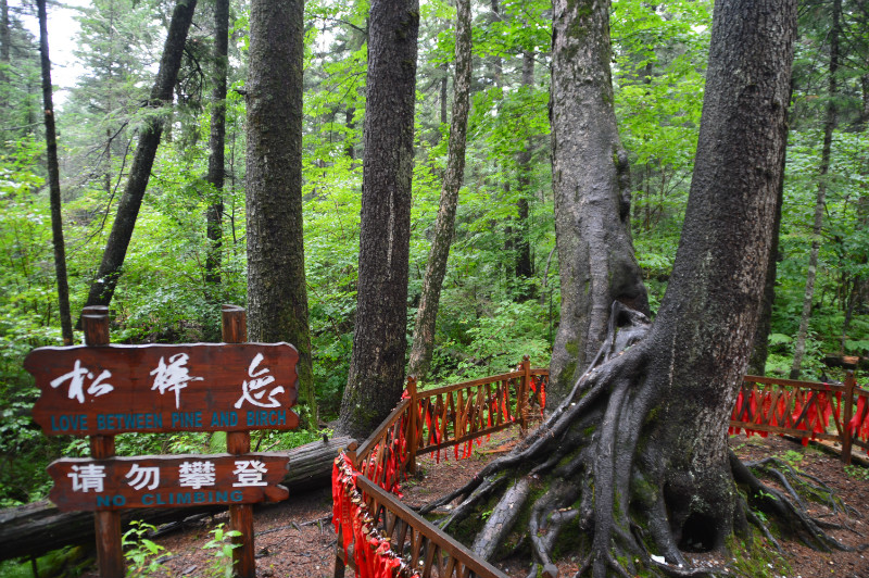 wKgB3FIKFveAIh_EAARBh89ysNU04.jpeg?imageView2%2F2%2Fw%2F600%2Fh%2F600%2Fq%2F90