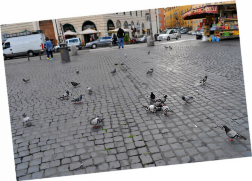 全国gdp上涨速度第一城市_广东gdp全国第一照片(2)