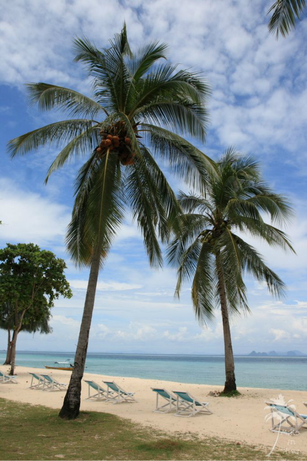 许海梦幻温泉度假酒店预订,许海梦幻温泉度假