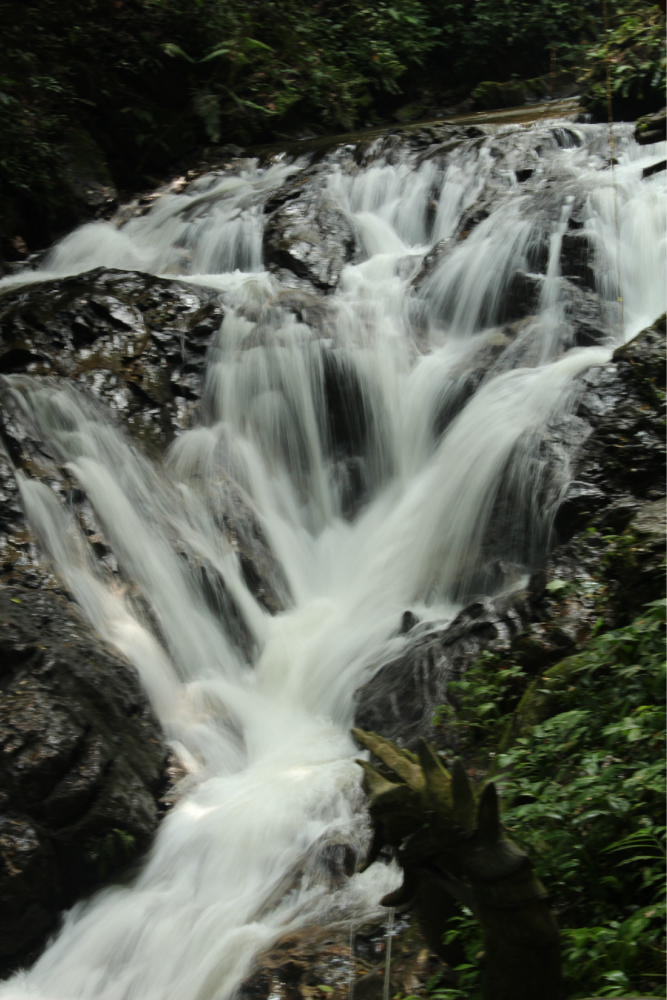 扎朵热带雨林风景区      