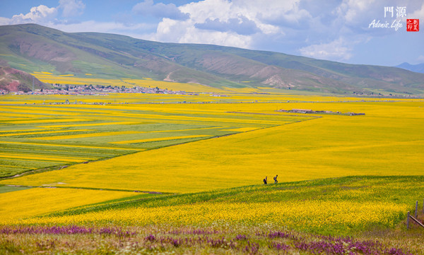 山上美女背影图片 wKgB6lPz-BiAcRUBAAQmjHoBLGY02.jpeg?imageView2%2F2%2Fw%2F600%2Fh%2F600%2Fq%2F90