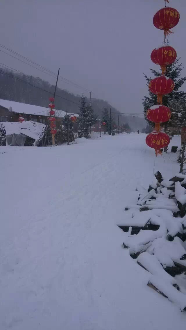 你在南方的艳阳里大雪纷飞,我在北方的寒夜里四季如春