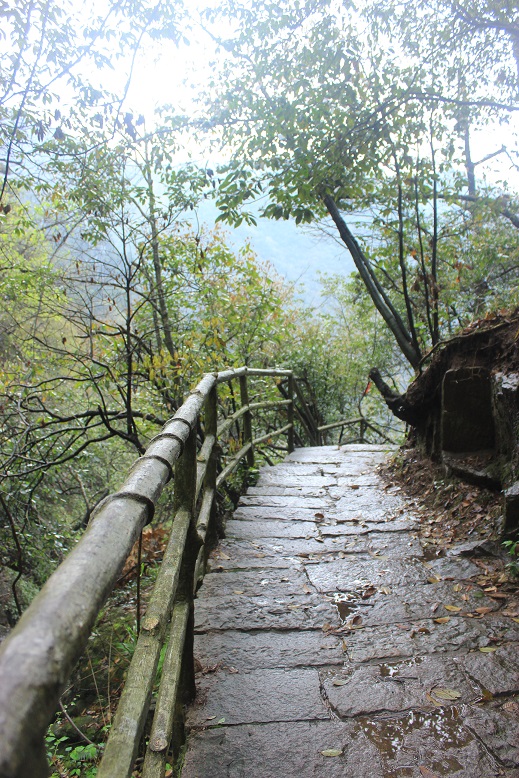 一路上山,下着毛毛细雨,地上也湿了一片,雨后的小径,散发着清幽的气息