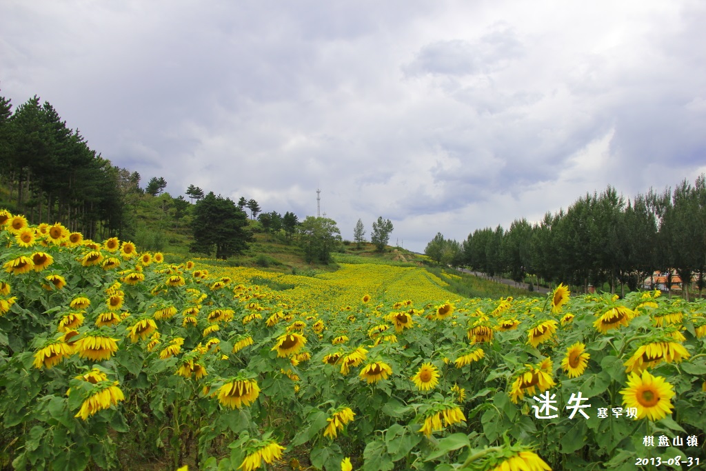 wKgBpVVUgZmAetxOAARqRHik9UE97.jpeg?imageView2%2F2%2Fw%2F600%2Fh%2F600%2Fq%2F90