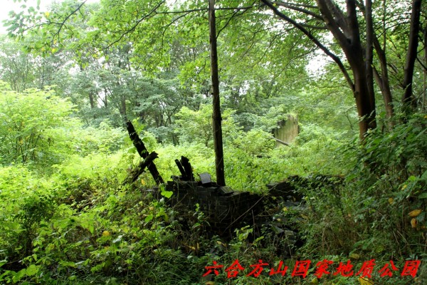 石柱林游玩攻略,石柱林游玩攻略一日游