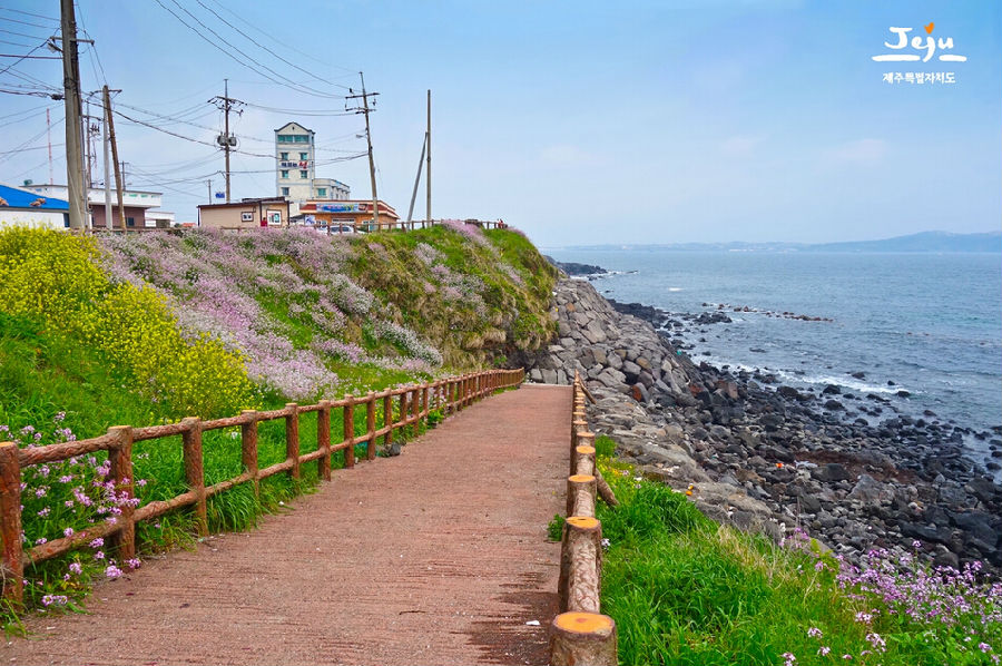 2017济州岛清明节天气,清明节去济州岛好玩吗