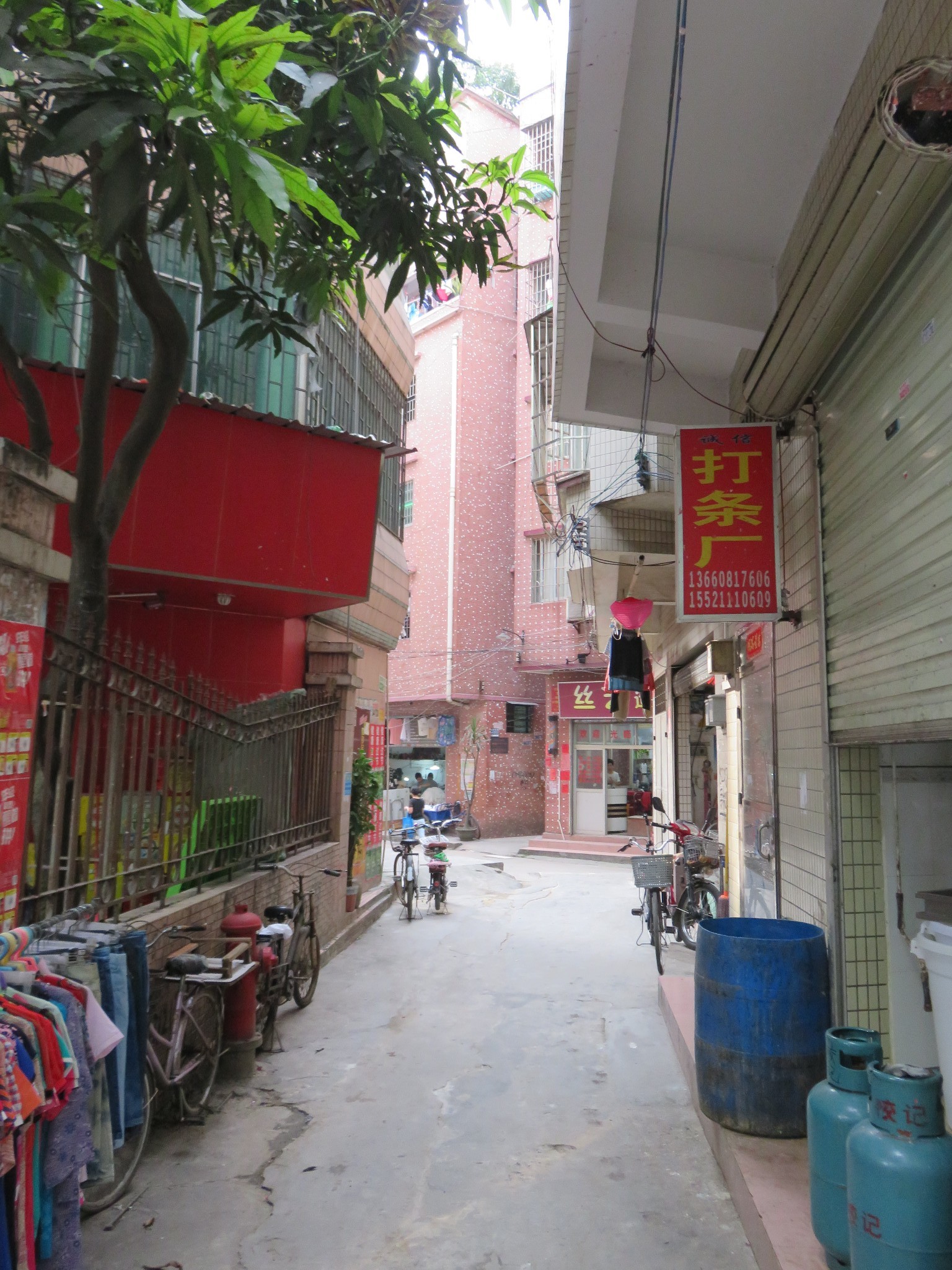 海珠区的村落与湿地:海珠湿地,沥滘卫氏大宗祠,小洲村,龙潭村