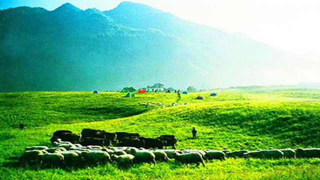 【重庆出发】纯玩无购物(武隆仙女山 天生三桥 地缝探险2日游)住挂三