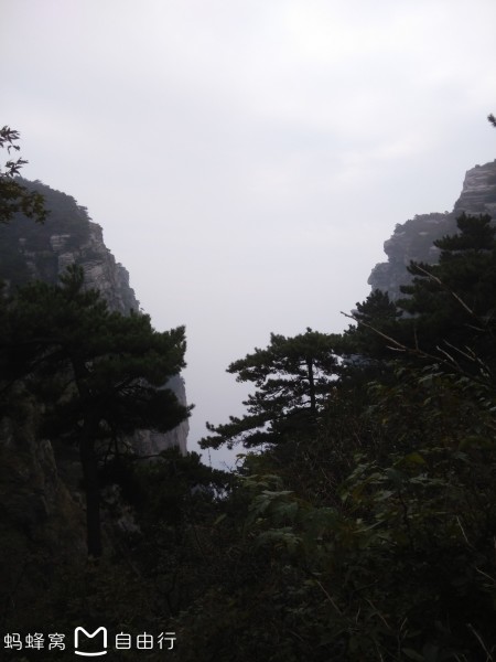 庐山的云雾_庐山云雾的四种姿态