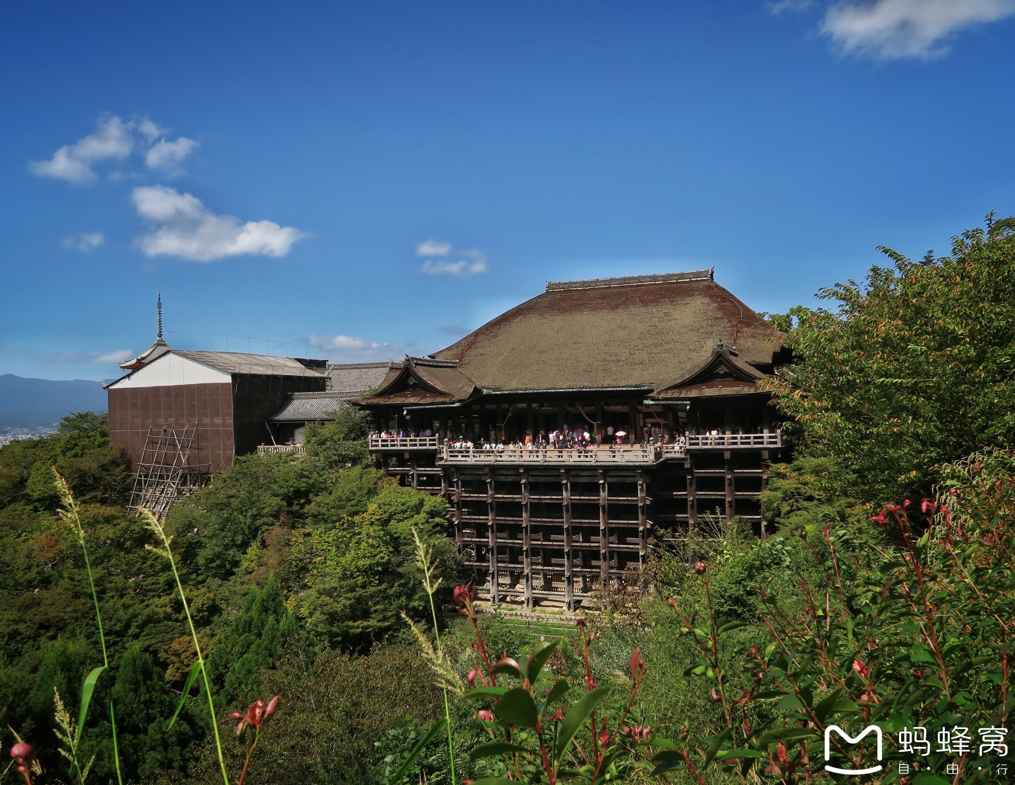 院子玩命猜成语_看图猜成语(3)