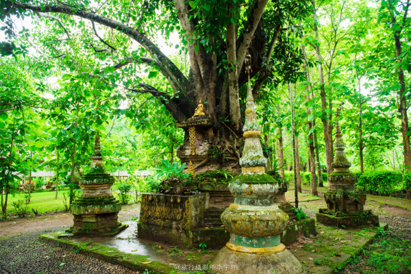 橄榄坝游玩攻略,橄榄坝游玩攻略一日游