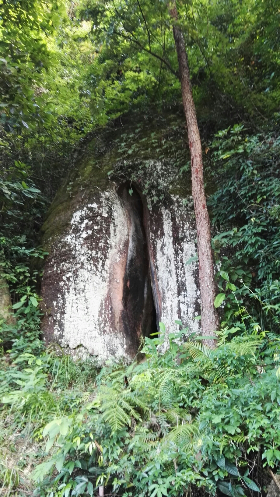 韶关丹霞山阴元石图片