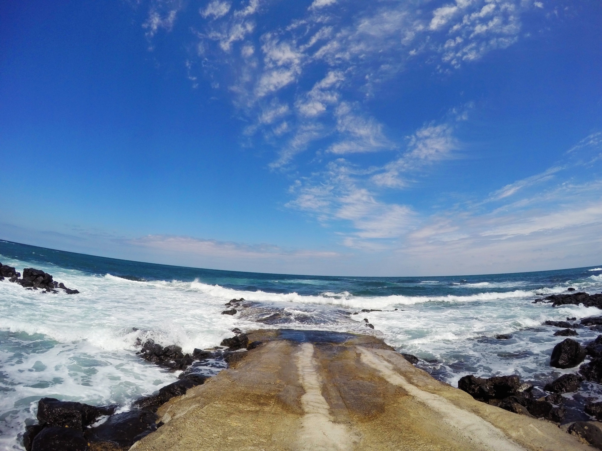 济州排名_济州真柏盆景图片(3)