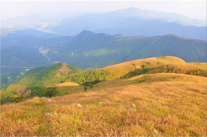 5米,为罗定第5高峰,八排山风景区由八座别具一格的山脉组成,故名"